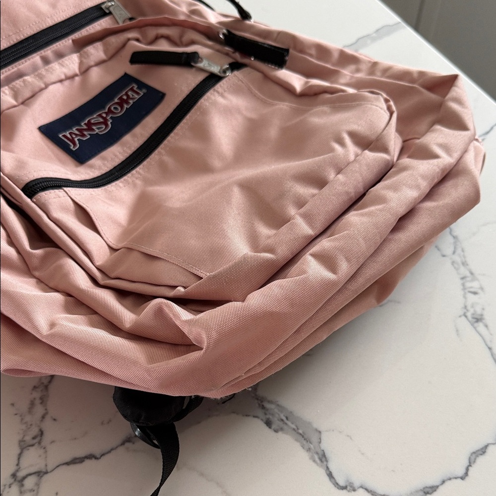 Jansport Light Pink Men's Backpack - Picture 4 of 10